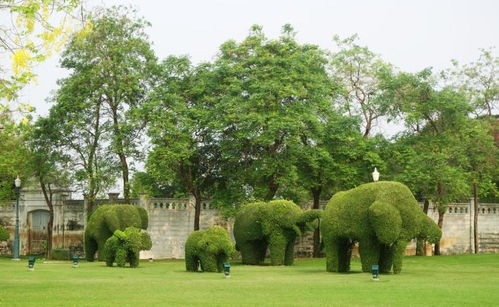 探寻中国顶尖园林绿化工程实力 哪里的公司最具竞争力？