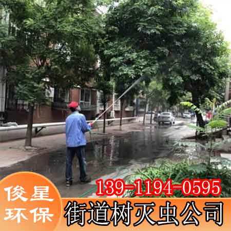 霍营园林杀虫绿化喷药车出租 绿植打药施工前需要准备哪些？