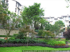 高档花园洋房植物配置 从设计图到实景的照片与施工指南